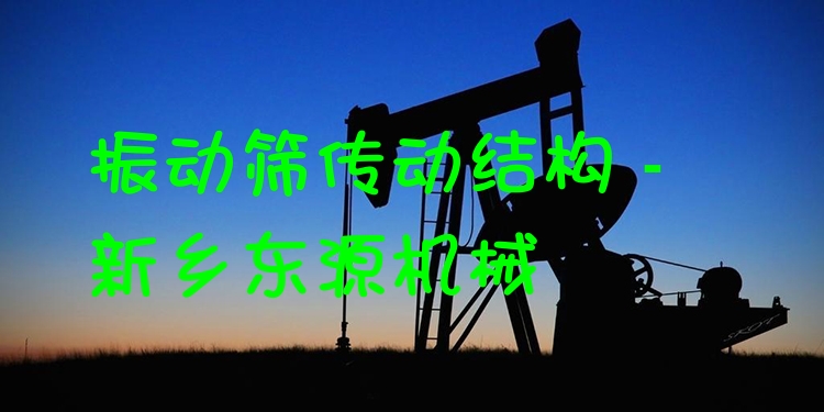 振動(dòng)篩傳動(dòng)結(jié)構(gòu) - 新鄉(xiāng)東源機(jī)械